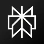 Perplexity Mod Apk